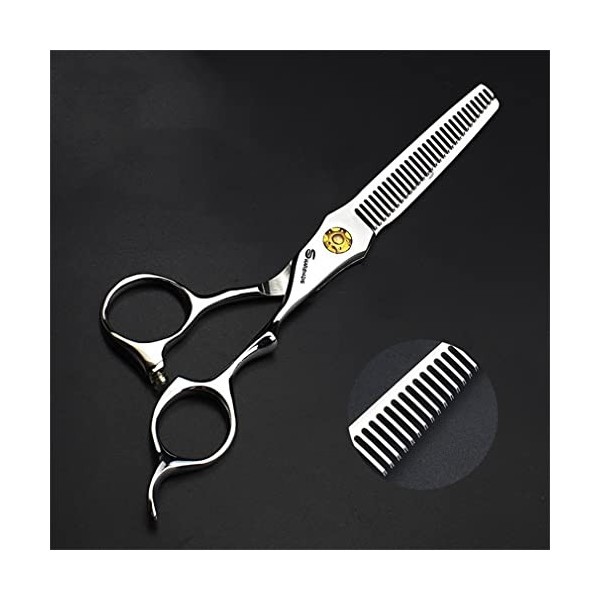 KOAIEZ 6,0 Pouces 440C Professionnel Argent Ciseaux De Coupe De Cheveux, Cisaillements De Coiffure De Coiffeur Salon Cisea