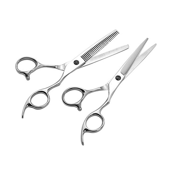 6.5" Hairdressing Scissors Barber Salon Hair Scissor Professional- Sharp Stainless Steel Hairdressers Hair Cutting Shears for