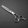 6.5" Hairdressing Scissors Barber Salon Hair Scissor Professional- Sharp Stainless Steel Hairdressers Hair Cutting Shears for