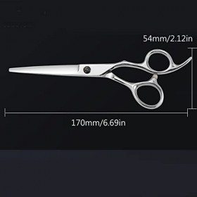 6.5" Hairdressing Scissors Barber Salon Hair Scissor Professional- Sharp Stainless Steel Hairdressers Hair Cutting Shears for...