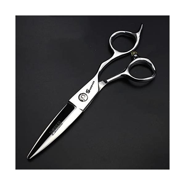 KOAIEZ 6,0 Pouces 440C Professionnel Argent Ciseaux De Coupe De Cheveux, Cisaillements De Coiffure De Coiffeur Salon Cisea