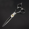 KOAIEZ 6,0 Pouces 440C Professionnel Argent Ciseaux De Coupe De Cheveux, Cisaillements De Coiffure De Coiffeur Salon Cisea