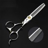 KOAIEZ 6,0 Pouces 440C Professionnel Argent Ciseaux De Coupe De Cheveux, Cisaillements De Coiffure De Coiffeur Salon Cisea