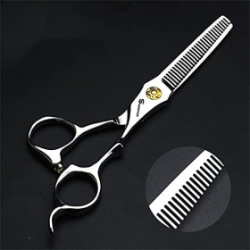 KOAIEZ 6,0 Pouces 440C Professionnel Argent Ciseaux De Coupe De Cheveux, Cisaillements De Coiffure De Coiffeur Salon Cisea