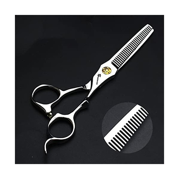 KOAIEZ 6,0 Pouces 440C Professionnel Argent Ciseaux De Coupe De Cheveux, Cisaillements De Coiffure De Coiffeur Salon Cisea
