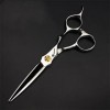 KOAIEZ 6,0 Pouces 440C Professionnel Argent Ciseaux De Coupe De Cheveux, Cisaillements De Coiffure De Coiffeur Salon Cisea