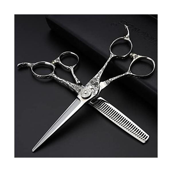 KOAIEZ Ciseaux De Coupe De Cheveux Professionnels De 6,0 Pouces Argent , Cisaillements De Coiffure Multifonctionnels 440C en