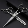 KOAIEZ Ciseaux De Coupe De Cheveux Professionnels De 6,0 Pouces Argent , Cisaillements De Coiffure Multifonctionnels 440C en