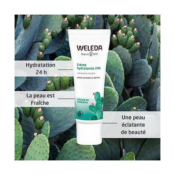 WELEDA - Duo Crème hydratante 24h - Hydratation durable - Certifié Natrue**- Tube 30 ml x 2 Crème Jour et Nuit