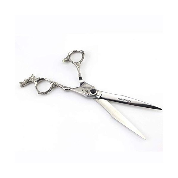 Ciseaux de Coiffure Professionnels, Ciseaux de Coupe de Cheveux pour Salon de Coiffure – Longueur Totale de 15,2 cm avec vis 