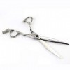 Ciseaux de Coiffure Professionnels, Ciseaux de Coupe de Cheveux pour Salon de Coiffure – Longueur Totale de 15,2 cm avec vis 