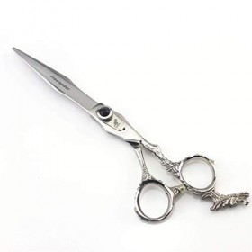 Ciseaux de Coiffure Professionnels, Ciseaux de Coupe de Cheveux pour Salon de Coiffure – Longueur Totale de 15,2 cm avec vis ...