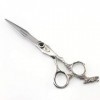 Ciseaux de Coiffure Professionnels, Ciseaux de Coupe de Cheveux pour Salon de Coiffure – Longueur Totale de 15,2 cm avec vis 