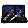 Générique Ciseaux De Coiffure Plats + Ciseaux À Dents Set Professionnel 440C Coiffeur 6.0 Ciseaux De Coiffure-Argent