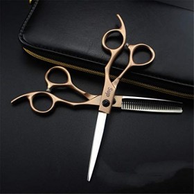 Ciseaux de coupe de cheveux professionnels de 6,0 pouces - Ciseaux à effiler for coiffure Kit de salon en acier inoxydable 44