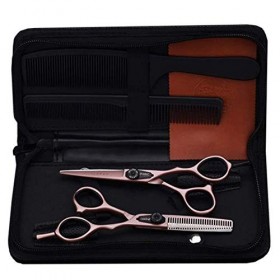 Ciseaux De Coiffeur De Salon De Coiffure, Ciseaux De Cheveux Professionnels Réglables avec Étui en Cuir 5,5-6 Pouces,Rosegold