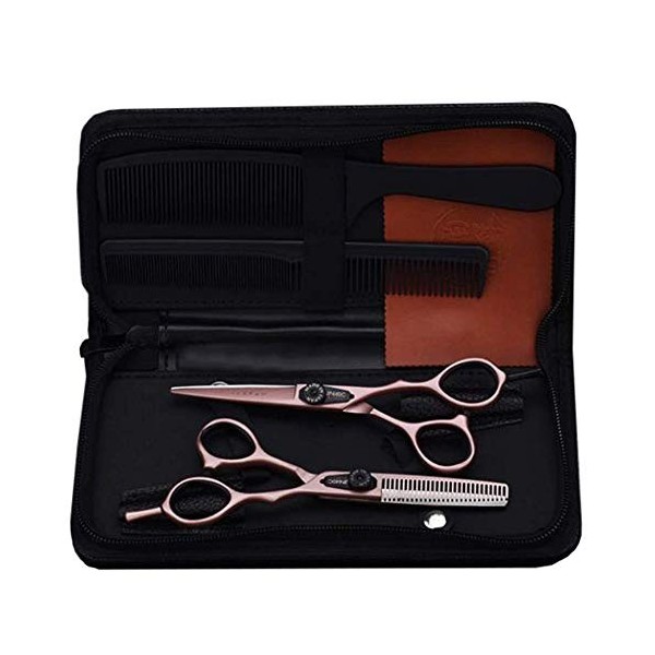 Ciseaux De Coiffeur De Salon De Coiffure, Ciseaux De Cheveux Professionnels Réglables avec Étui en Cuir 5,5-6 Pouces,Rosegold