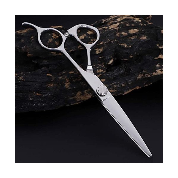 Ciseaux de coiffure, ciseaux de coiffure et damincissement des cheveux, ciseaux de salon de coiffure, ensemble cadeau pour m