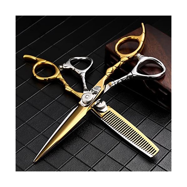 Ciseaux de coiffeur Ciseaux de coupe de cheveux, 6,0 pouces 440C Ciseaux professionnels en acier Coiffeur Coiffeur Outils de 