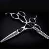 WYGC Scissors Ciseaux Coiffure Professionnel Tranchant Acier Inoxydable Régulateur Noir Combinaison Set Coupe Nette et précis