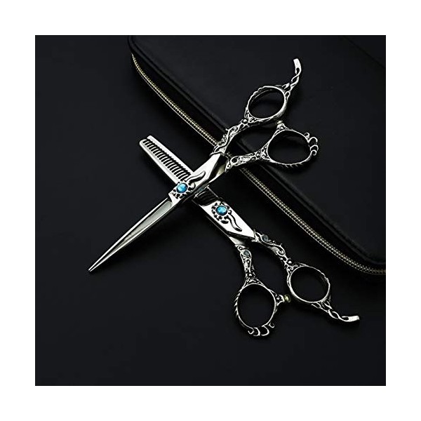 RIJPEX Ciseaux à Cheveux 6.0 Pouces Vintage Noir 440c Deux Pièces Ciseaux de Coiffure Professionnels Acier Alliage Nickel-Chr