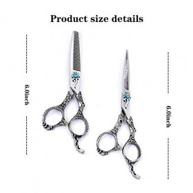 RIJPEX Ciseaux à Cheveux 6.0 Pouces Vintage Noir 440c Deux Pièces Ciseaux de Coiffure Professionnels Acier Alliage Nickel-Chr