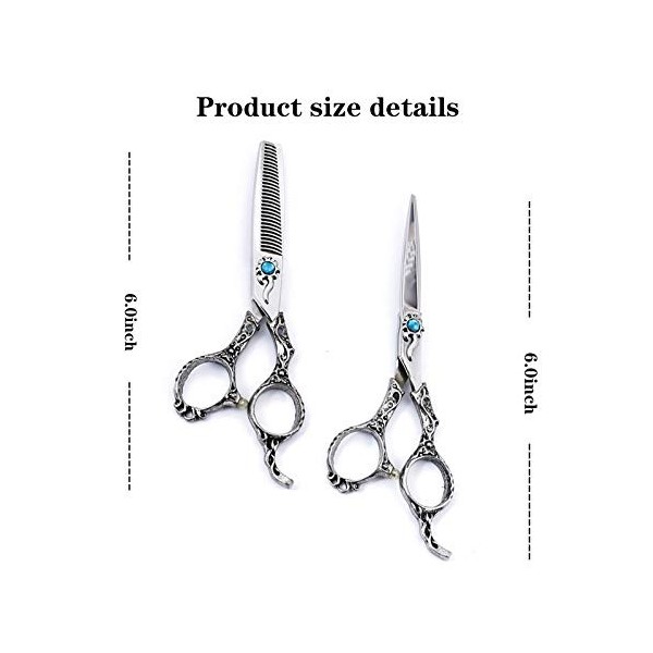 RIJPEX Ciseaux à Cheveux 6.0 Pouces Vintage Noir 440c Deux Pièces Ciseaux de Coiffure Professionnels Acier Alliage Nickel-Chr