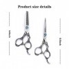 RIJPEX Ciseaux à Cheveux 6.0 Pouces Vintage Noir 440c Deux Pièces Ciseaux de Coiffure Professionnels Acier Alliage Nickel-Chr