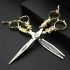 KOAIEZ Ensembles De Ciseaux De Coupe De Cheveux Professionnels Argent De 6,0 Pouces, Outils De Cisailles De Barbier en Acie