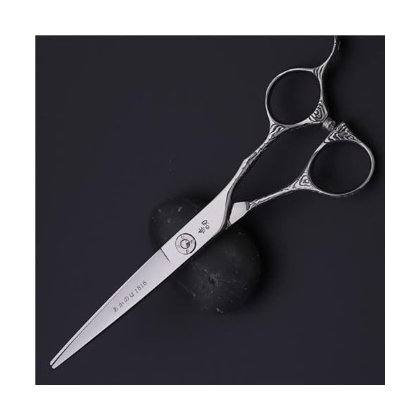 ciseaux de coiffeur Ciseaux De Coupe De Cheveux, 6 Pouces Professionnel Japon 440c Acier Ciseaux De Cheveux Haut De Gamme Cou