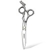 Ciseaux pour Animaux de Compagnie Argent 440c Haute dureté Ciseaux de Coiffure Professionnels tranchants 6 Pouces 17,5cm Salo