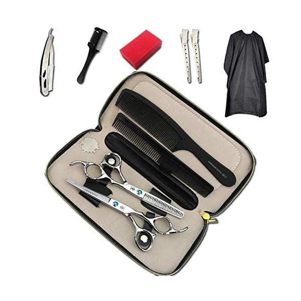 JHYS Ciseaux pour Poils danimaux, Ciseaux de Coiffeur Japonais Ensemble de Ciseaux de Coiffure Professionnels avec kit dami