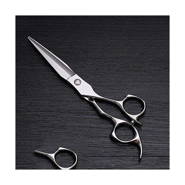 Outils de coupe des cheveux Outil de ciseaux de coiffure en acier inoxydable haut de gamme de 6 pouces, outil spécial de coif