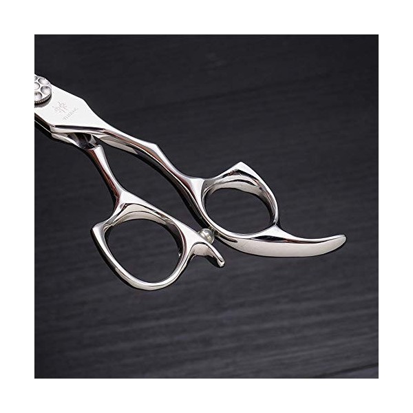 Outils de coupe des cheveux Outil de ciseaux de coiffure en acier inoxydable haut de gamme de 6 pouces, outil spécial de coif