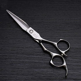 Outils de coupe des cheveux 5,5 pouces coiffeur en acier inoxydable coupe de cheveux outil professionnel pour femme Color : 