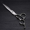Outils de coupe des cheveux Ciseaux de coiffure spéciaux en acier inoxydable 440C Cisaille pour femme Color : Silver 