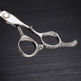 Outils de coupe des cheveux Ciseaux de coiffure spéciaux en acier inoxydable 440C Cisaille pour femme Color : Silver Rasage ...