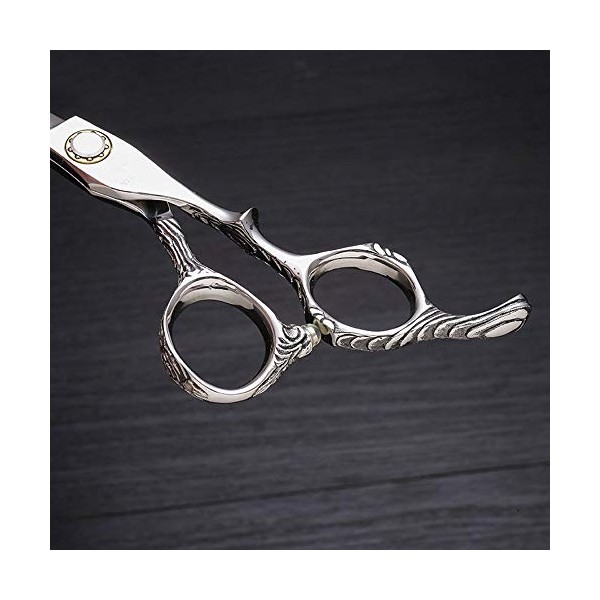 Outils de coupe des cheveux Ciseaux de coiffure spéciaux en acier inoxydable 440C Cisaille pour femme Color : Silver 