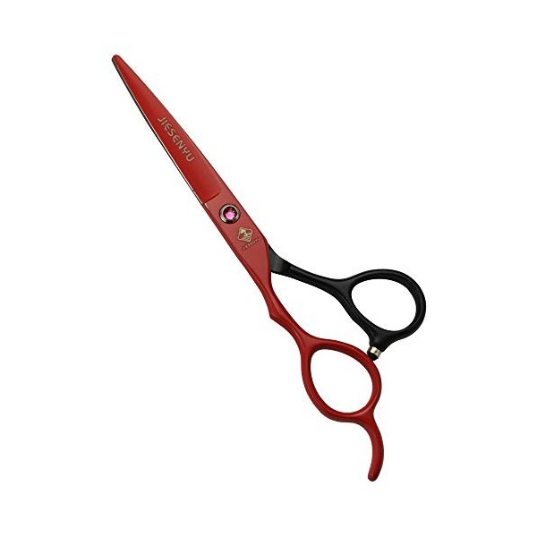 Ciseaux pour poils danimaux, outils de coiffure en acier 440c de 15,2 cm pour salon de coiffure ou ciseaux de ménage moitié 