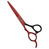 Ciseaux pour poils danimaux, outils de coiffure en acier 440c de 15,2 cm pour salon de coiffure ou ciseaux de ménage moitié 