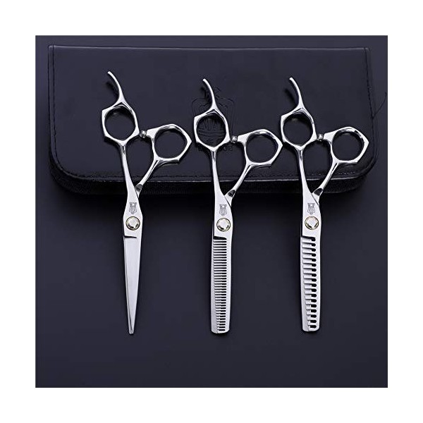 Ciseaux de coupe de cheveux Salon de coiffure professionnel Ciseaux de coupe de cheveux Kit doutils de coupe de cheveux Cise