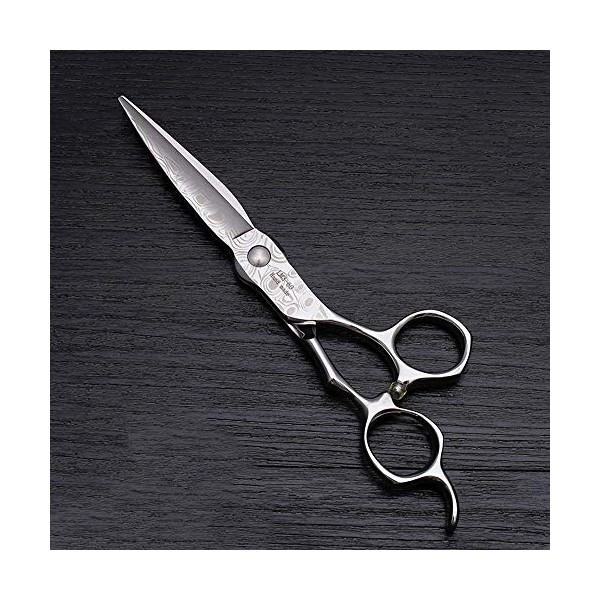 Outils de coupe des cheveux Ciseaux plats de coupe de cheveux de 6 pouces, Ciseaux plats de ciseaux de coiffeur haut de gamme