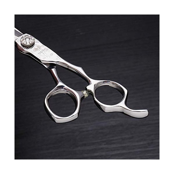 Outils de coupe des cheveux Ciseaux plats de coupe de cheveux de 6 pouces, Ciseaux plats de ciseaux de coiffeur haut de gamme