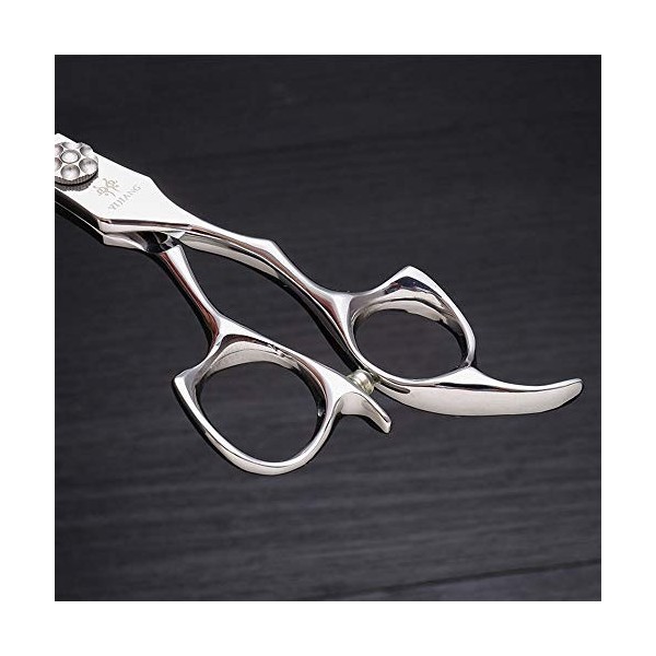 Outils de coupe des cheveux Ciseaux de coiffure en acier inoxydable de 6 pouces, outils de coupe de cheveux de coiffeur pour 