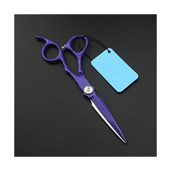 Ciseaux de coupe de cheveux professionnels Outil de cisaillement pour cheveux de coiffeur en crocodile violet couleur: Set a