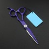 Ciseaux de coupe de cheveux professionnels Outil de cisaillement pour cheveux de coiffeur en crocodile violet couleur: Set a