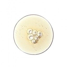 The Ordinary Aloe 2% + NAG 2% Solution | 30ml