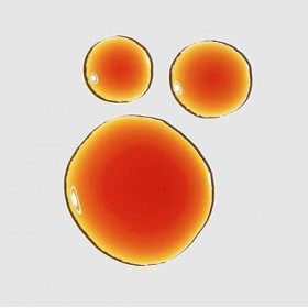 The Ordinary ORIGINAL Pycnogenol* 5% | 15 ml | éclaircit et protège la peau des agressions extérieures | par Cloud.Sales Cosm