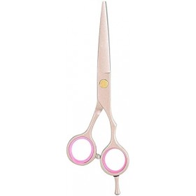 Ciseaux de coiffure en acier inoxydable Salon de coiffure cisaillement ciseaux à cheveux durables exquis coupe plate + étui 