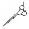 Hair Cutting Shears Self-Sharpening Scissors 6 Inches Flat Cut Barber Scissors Set Hairdressing Scissors Hair Thinning for Se